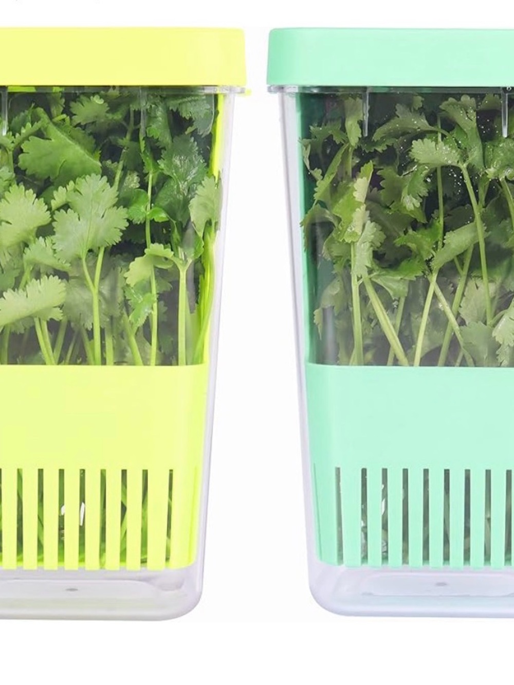 Herb Keeper Storage Containers - Picture 2 of 6